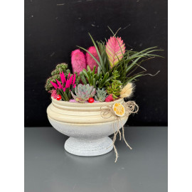 ÖZEL CANLI TERARYUM